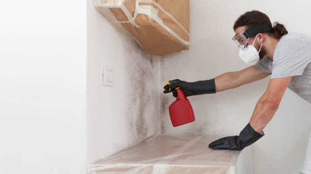 Professional Basement Mold Remediation technician working in Young America, MN